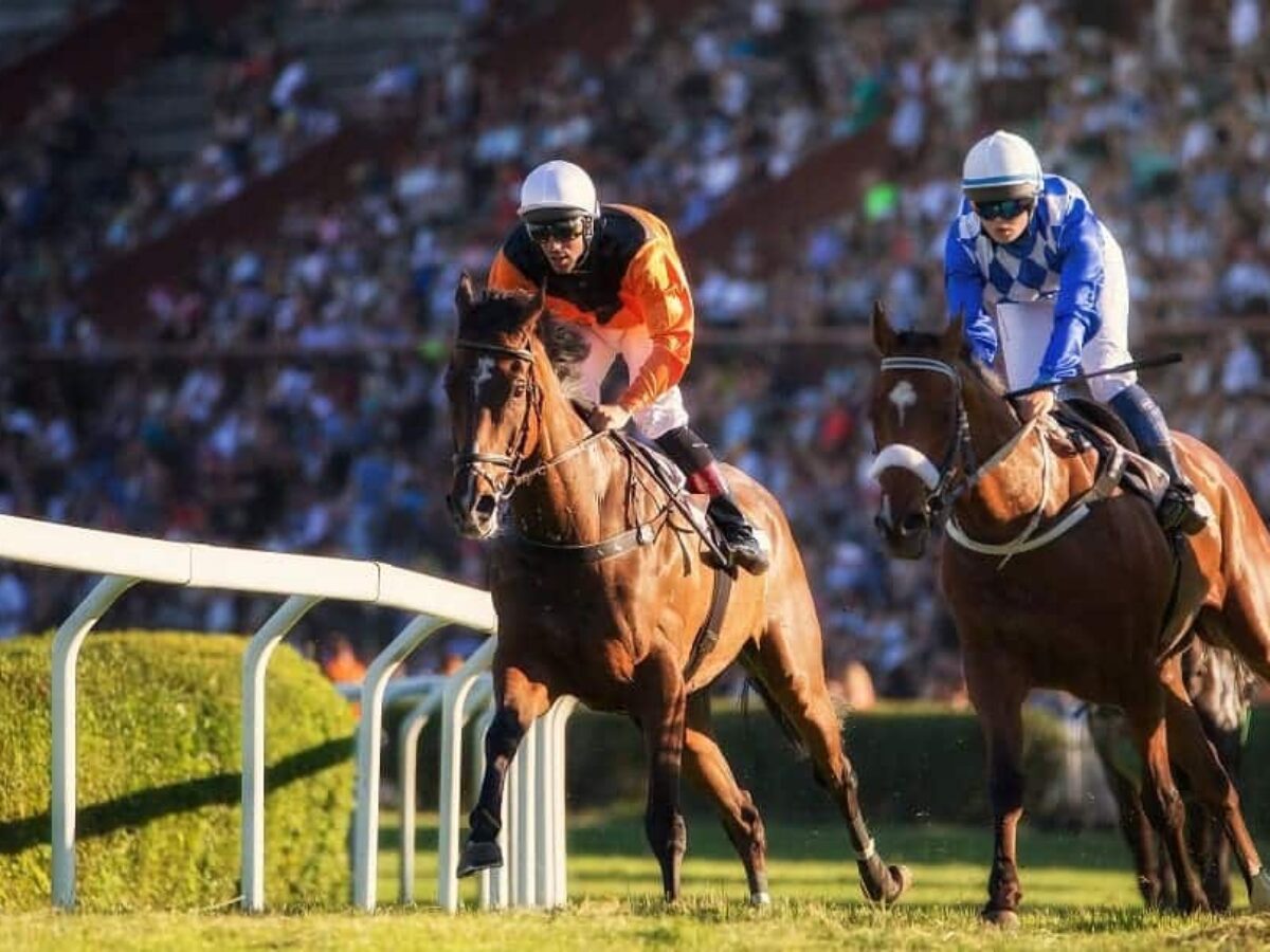 Tiger Exchange Betting App - What Can Your Learn From Your Critics