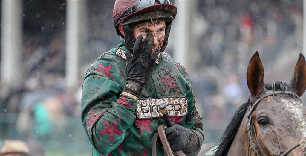 Cheltenham November Meeting