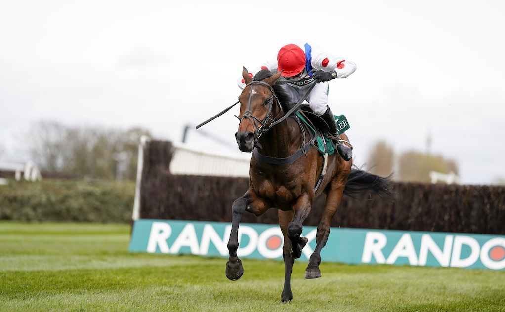 Paddy Power Gold Cup Protektorat pic